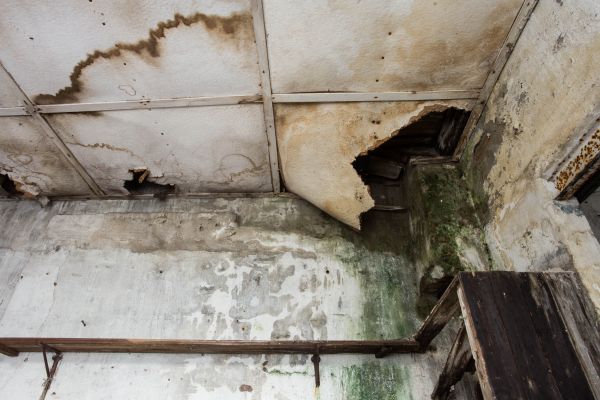 Water Damage Service in Lenexa