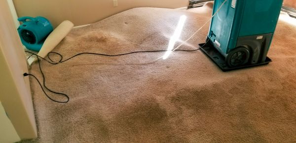 Flood Damage Cleanup in Lenexa