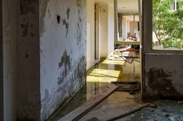 Cost of Water Removal Service in Lenexa