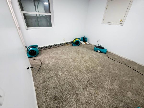 Flood Restoration Service in Lenexa