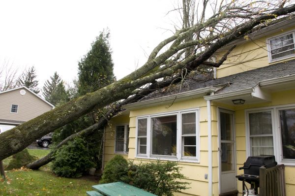 Hurricane Damage Repair in Lenexa